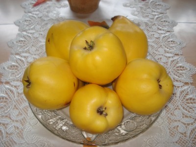 DSC09820.JPG