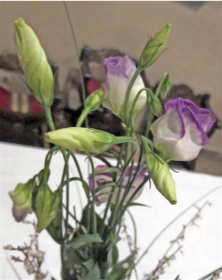 Blumenstrauß (3).JPG