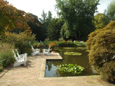 DSCF0128.JPG
