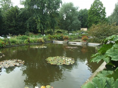 DSCF0125.JPG