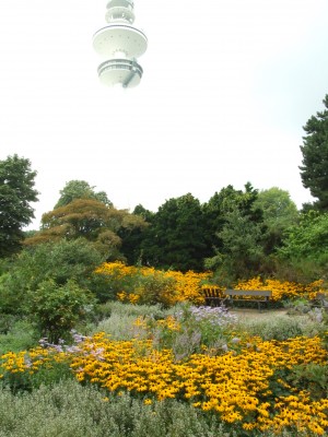 DSCF0117.JPG
