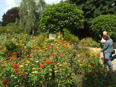 DSCF0143.JPG