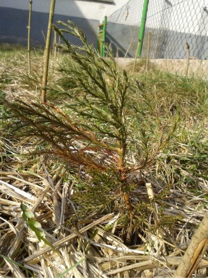 2012-03-09 14.10.53.jpg