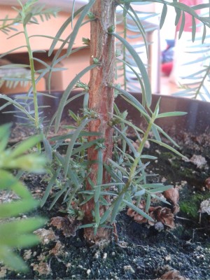 2012-03-20 15.13.35.jpg