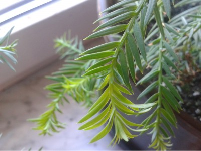 2012-03-20 15.16.46.jpg
