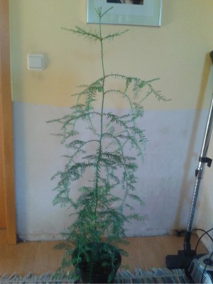 2012-03-20 15.15.19.jpg