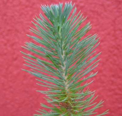 Bild green24 3 654.jpg