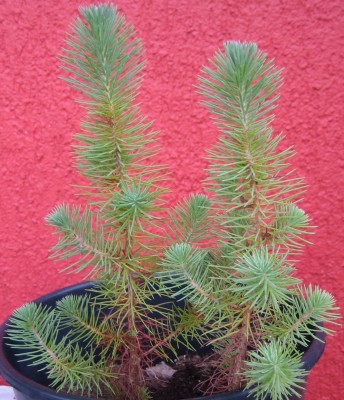 Bild green24 3 653.jpg