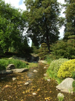 DSCF0142.JPG