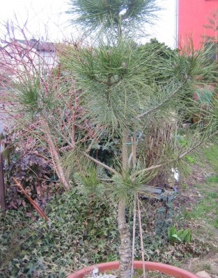 Bild green24 3 651.jpg