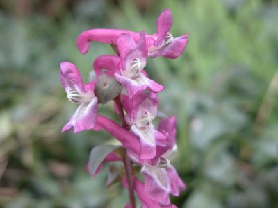 DSCN3529.JPG