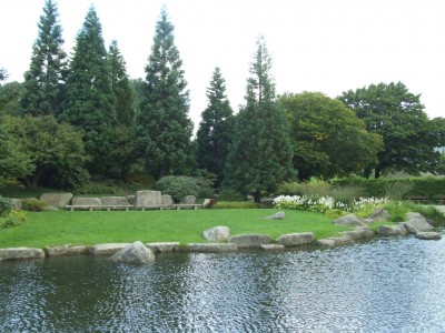 DSCF0135.JPG