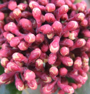 Bild green24 3 608.jpg