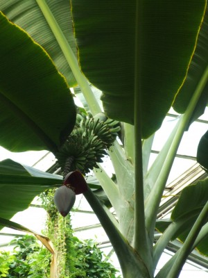 DSCF0160.JPG