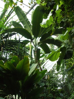 DSCF0159.JPG