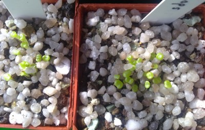 21032012676.jpg