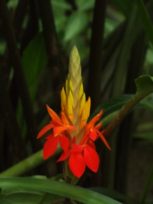 DSCF0157.JPG