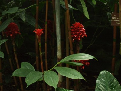 DSCF0155.JPG