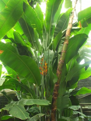 DSCF0151.JPG