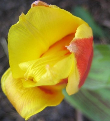 Bild green24 3 677.jpg