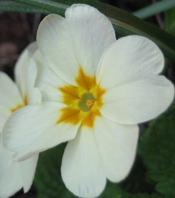 Bild green24 3 673.jpg