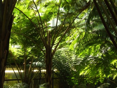 DSCF0180.JPG