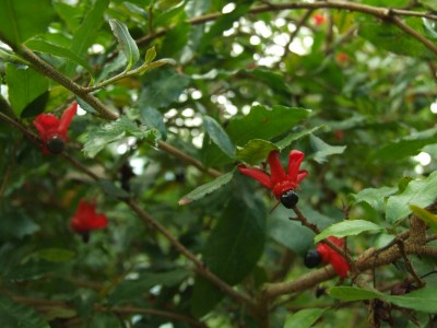 DSCF0175.JPG