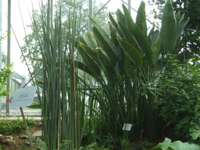 DSCF0174.JPG