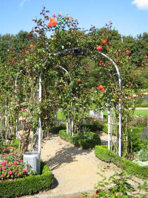 09 IMG_2687.JPG