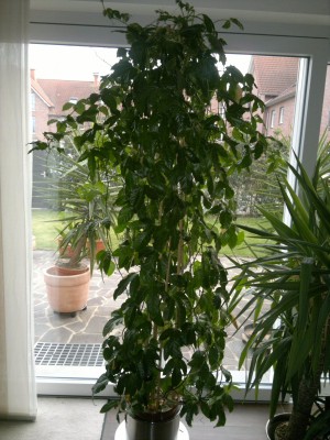 24032012105_1.jpg