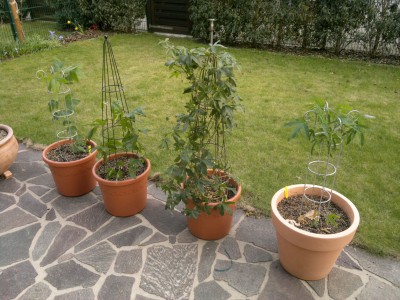 24032012102_1.jpg