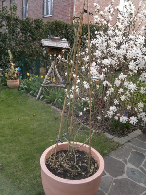 24032012101_1.jpg