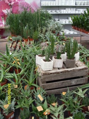 Photo7.jpg