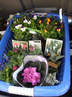 Photo10.jpg