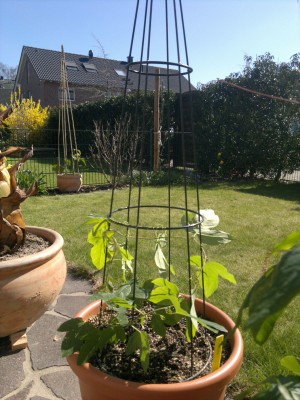 25032012111_1.jpg