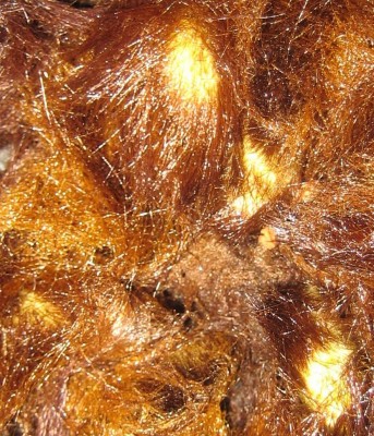 Bild green24 3 674.jpg