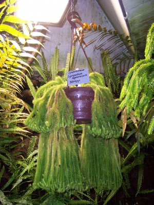 100_2773.JPG