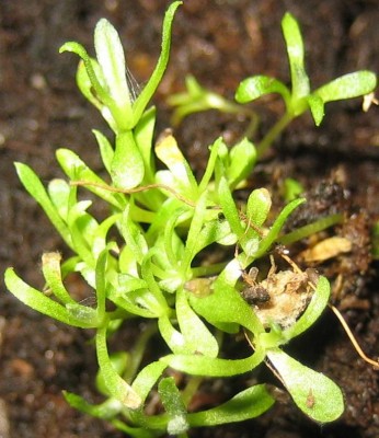 Bild green24 3 711.jpg