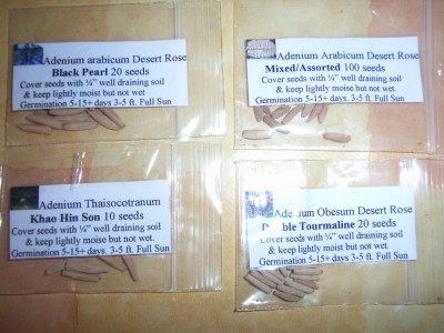 RIMG0461.JPG