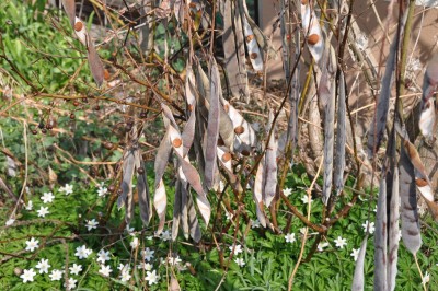 DSC_7392.JPG
