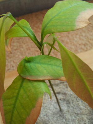 20120329_141947.jpg