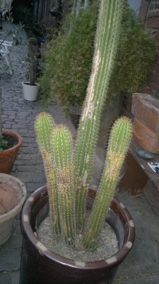 2012-03-29-017 (FILEminimizer).jpg