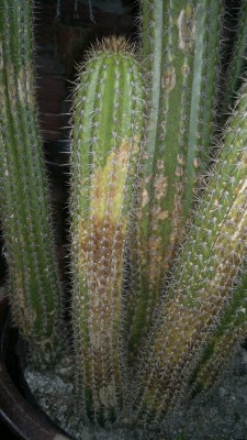 2012-03-29-016 (FILEminimizer).jpg