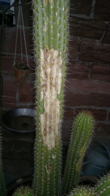 2012-03-29-015 (FILEminimizer).jpg