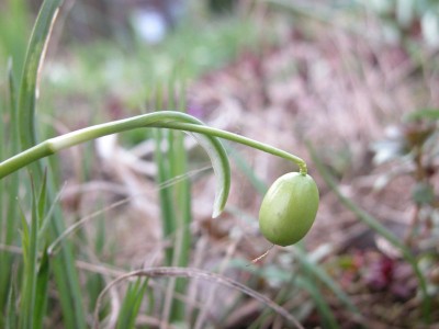 DSCN0385.JPG