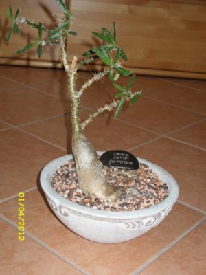 Photo12.jpg