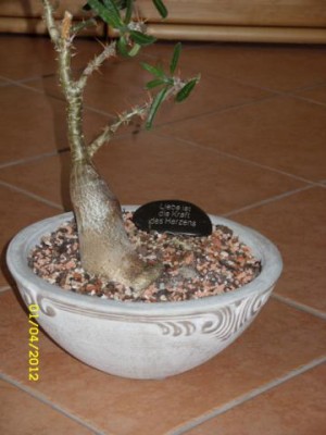 Photo14.jpg