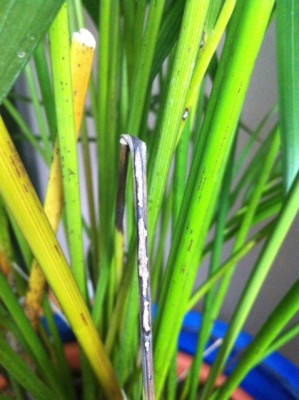 Foto 4.JPG