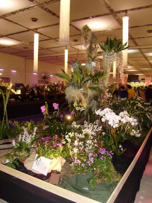 Dresdner Ostern (3).jpg