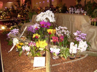 Dresdner Ostern (9).jpg